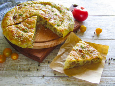 Turkish burek with meat filling