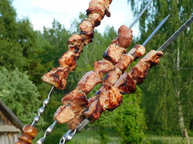 Caucasian pork kebab on the grill