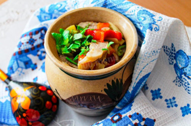 Vegetables with meat in pots