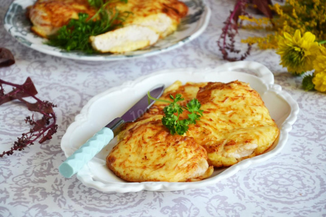 Chicken fillet with cheese on pan
