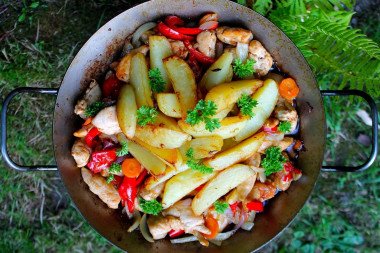 Chicken with vegetables in a frying pan over a campfire