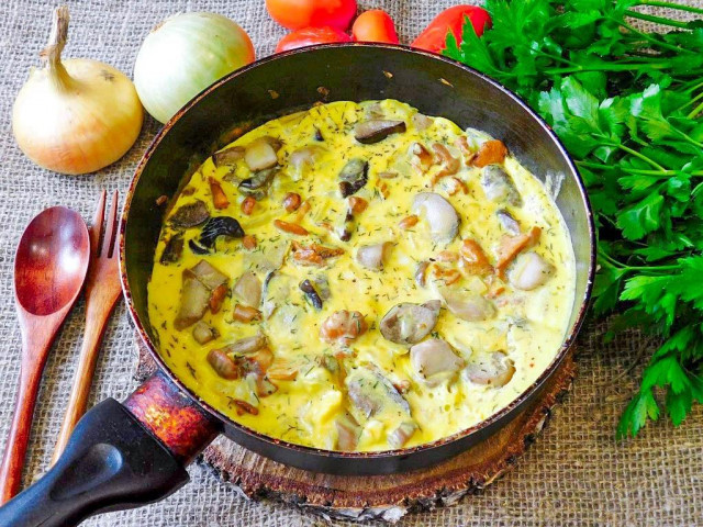 Omelet on cream with wild mushrooms