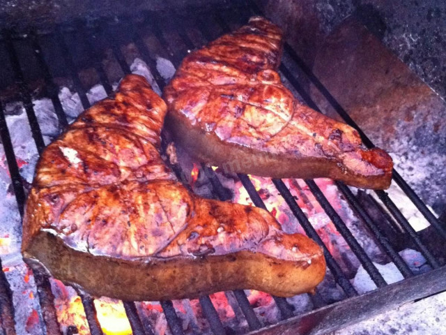 Shark steak on the grill