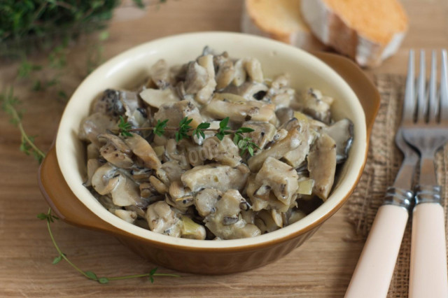 Oyster mushrooms in sour cream
