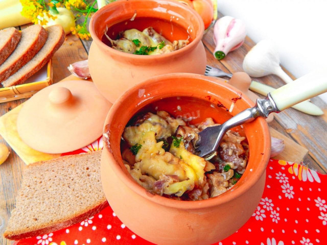 Julienne with wild mushrooms in pots