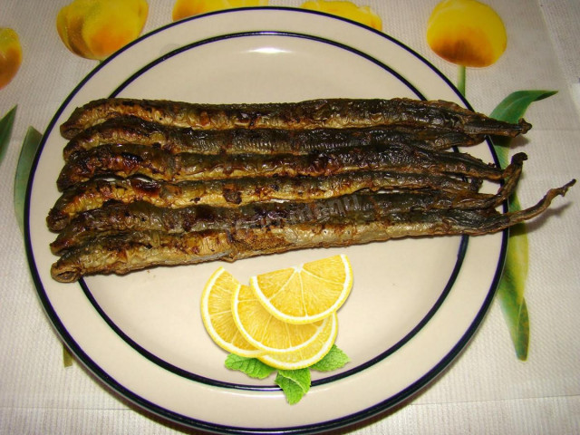 Lamprey in a frying pan