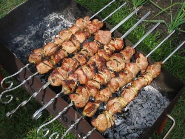Real lamb kebab on coals