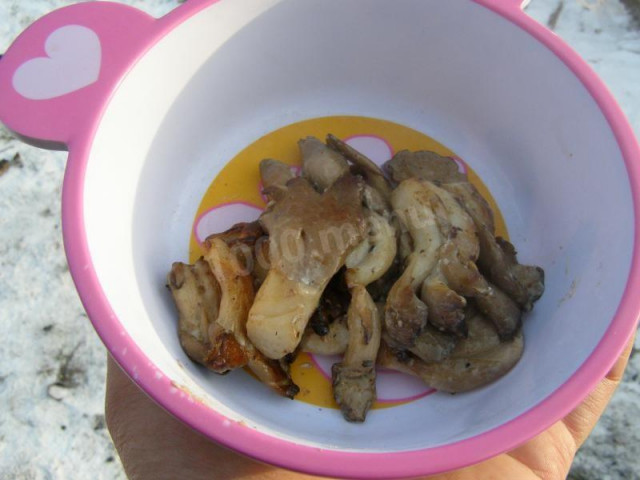 Grilled oyster mushrooms with sour cream