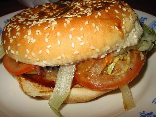 Hamburger Appetite