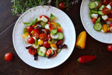 Salad of fresh cucumbers and tomatoes with mozzarella