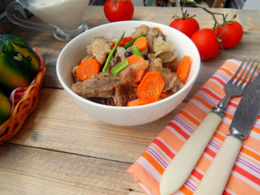Beef stew with carrots and onions