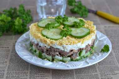 Tuna cucumber egg salad