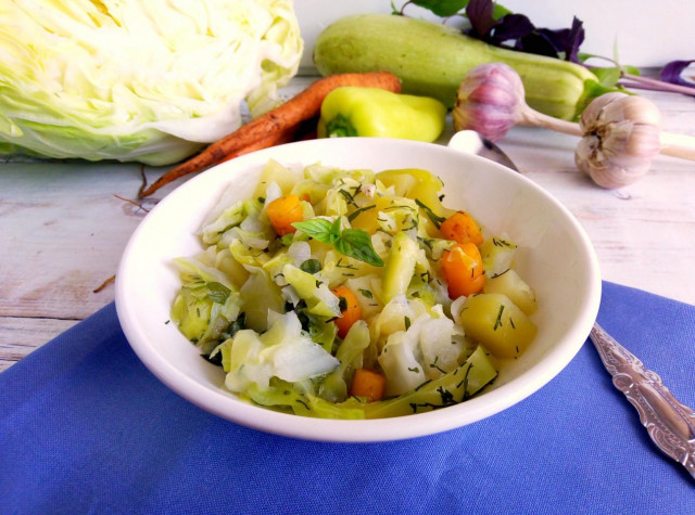 Vegetable stew with cabbage