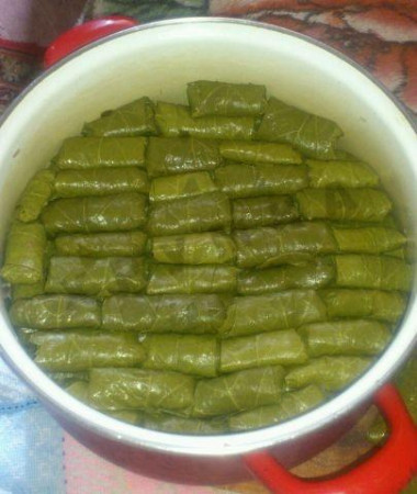 Dolma of fresh grape leaves