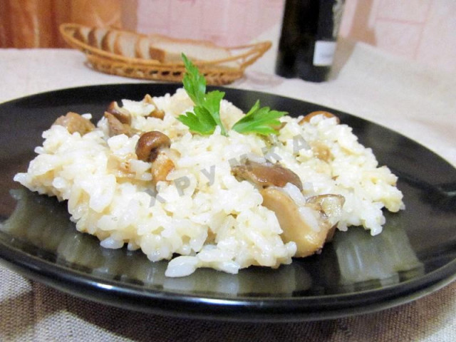 Porcini mushroom risotto with cream