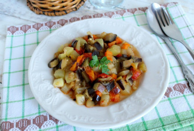 Stew of eggplant, bell pepper, tomatoes and zucchini