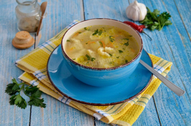 Chicken soup with dumplings in chicken broth