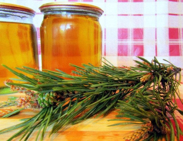 Pine syrup (pine honey) from pine shoots