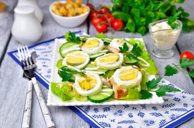 Salad with chicken cucumber and egg