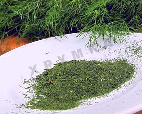 How dry dill in the oven for the winter