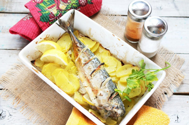 Mackerel baked with potatoes in the oven