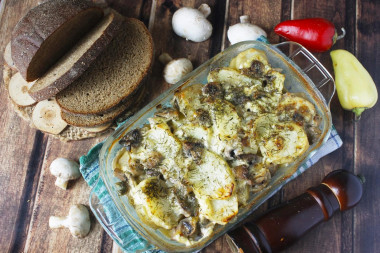 Mushrooms in sour cream with potatoes