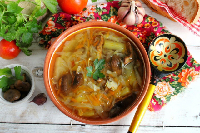 Cabbage soup with mushrooms and fresh cabbage