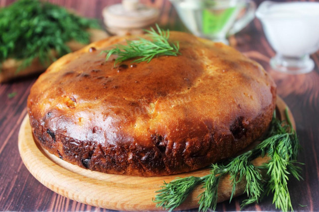 Aspic pie with minced meat on kefir