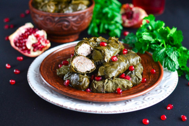 Cabbage rolls in grape leaves