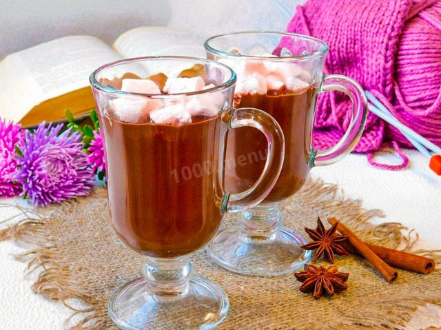 Homemade cocoa hot chocolate