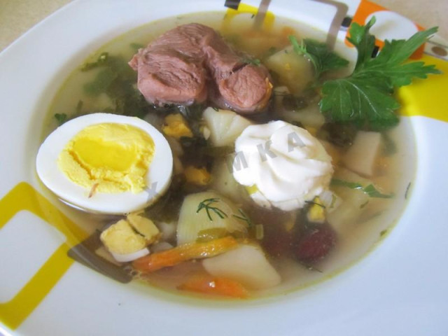 Green borscht with nettle sorrel and egg in meat broth
