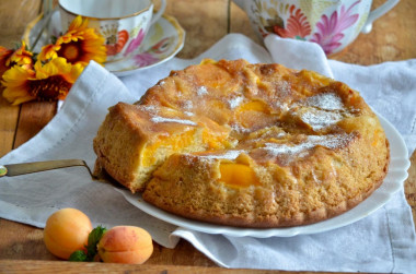 Charlotte with apricots