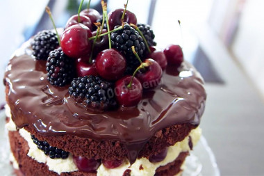 Naked fruit cake chocolate sponge cake with mascarpone