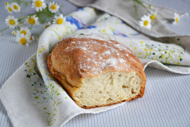 Aspic bread