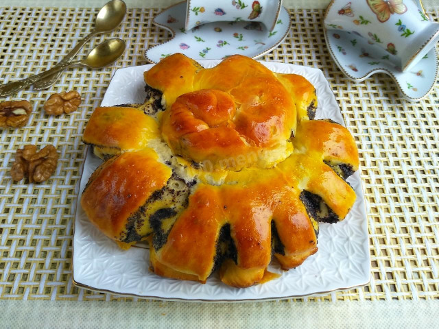 Snail with poppy seeds from yeast dough