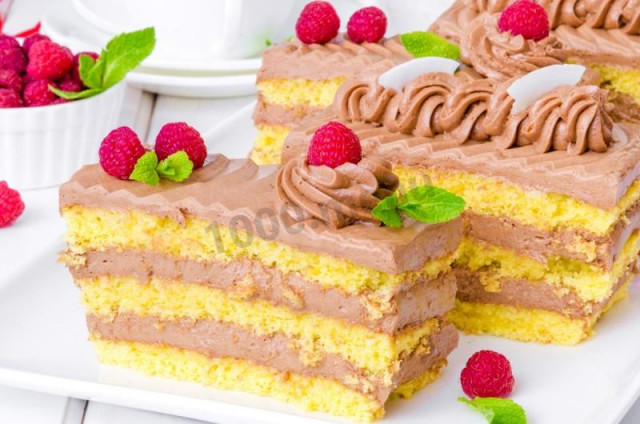 Sponge cake with cream