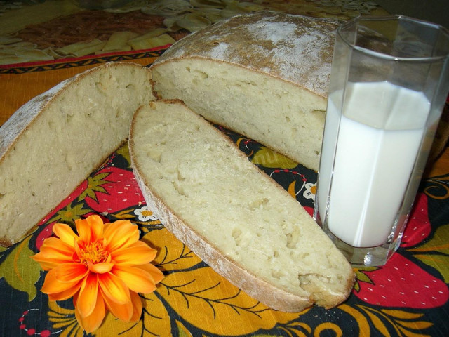 Bread with hops at home conditions
