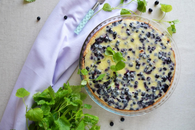 Shortbread pie with blueberries and cottage cheese