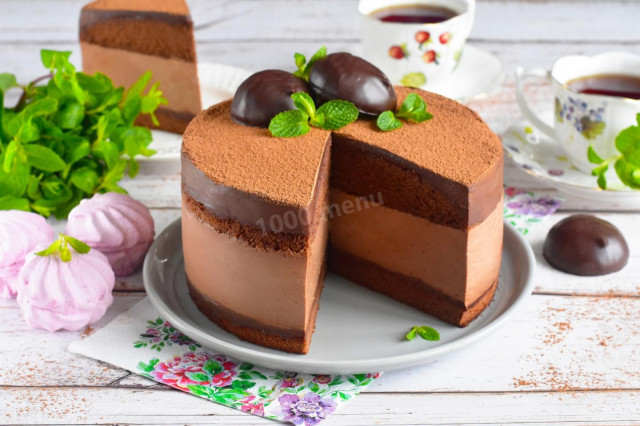 Chocolate sponge mousse cake