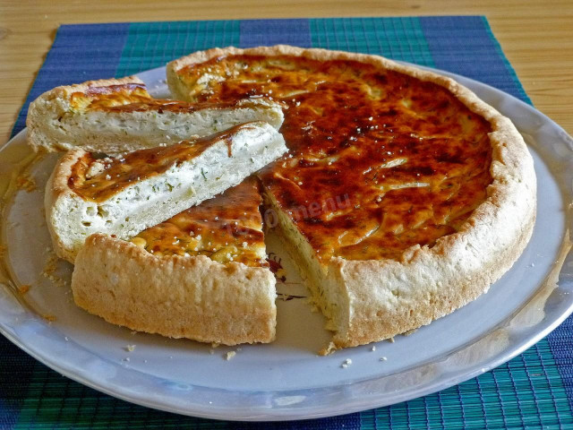 Pie with melted cheese and onions