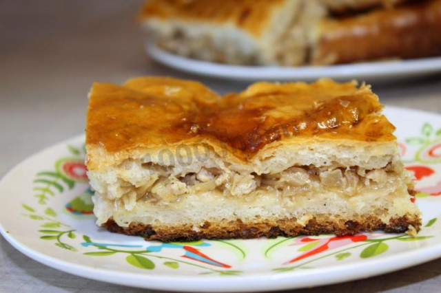 Cabbage pie with minced chicken