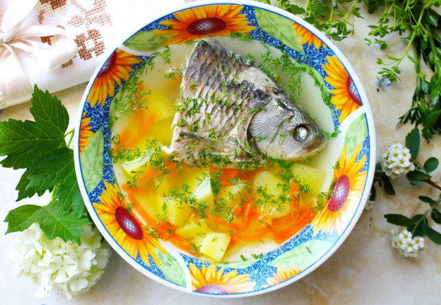 Carp ear fish soup at home