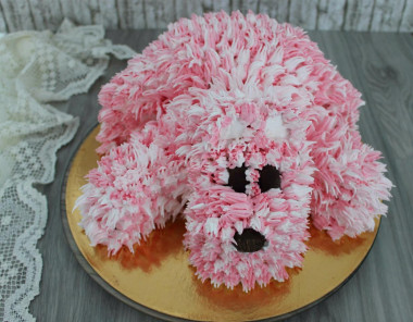 Doggie cake