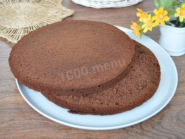 Classic sponge cake with cocoa