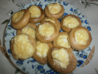 Dried cheesecakes with cottage cheese