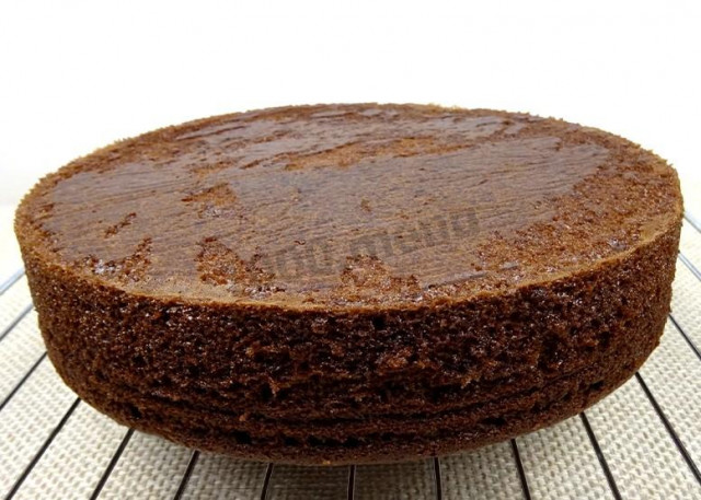 Chocolate sponge cake on boiling water