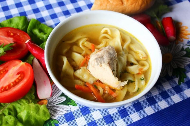 Chicken broth with noodles