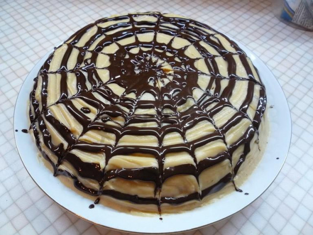Sponge cake Chocolate Delight