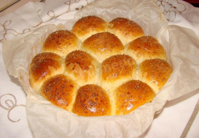Lazy buns with dried apricots