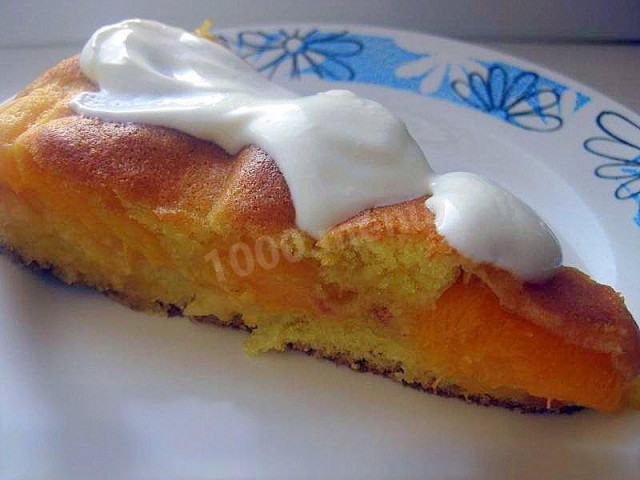 Tyrolean pie with apricot filling